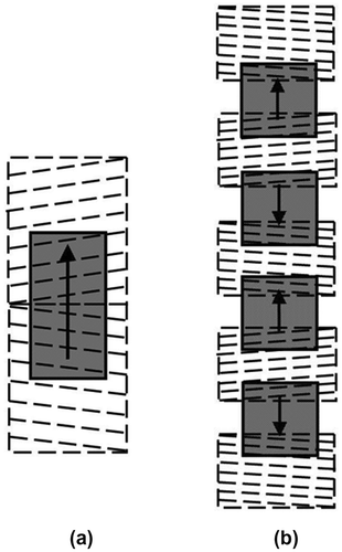 Figure 12. Two damper systems with multiple magnets and coils. (a) A magnet and two coil damper system and (b) A multi-magnet and multi-coil damper.