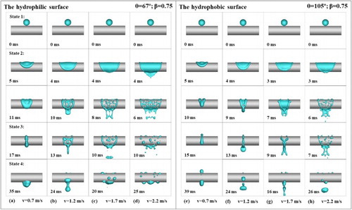 Figure 10. Dynamic impacting sequences (β = 0.75) for impacts on a hydrophilic cylindrical surface (θ = 67°) at impact velocities of: (a) 0.7 m/s; (b) 1.2 m/s; (c) 1.7 m/s; (d) 2.2 m/s; and dynamic impacting sequences (β = 0.75) for impacts on a hydrophobic cylindrical surface (θ = 105°) at impact velocities of: (e) 0.7 m/s; (f) 1.2 m/s; (g) 1.7 m/s; (h) 2.2 m/s.