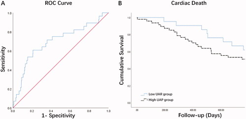Figure 2. (A) Receiver operating characteristic curve of uric acid to albumin ratio value. (B) Kaplan–Maier curves for cardiac death between the binary groups.