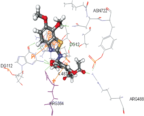 Figure 7.  Publication quality of the top docked compound 5f with topoisomerase-I enzyme with Docking value = −67.55. The binding pattern showed: [5 HB with the surrounded amino acids and DNA nucleotides including Arg364 (as crucial SAR), 7 lipophilic pi-pi interactions with the surrounded amino acids and DNA nucleotides, and a [pi-(+)] interaction between it and Arg364 by distance =4.49 Å].
