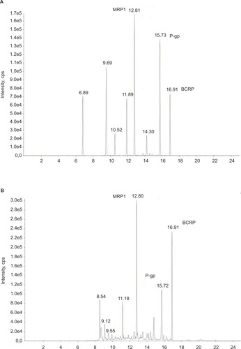 Figure 1 Chromatograms for surrogate peptides.Notes: Total ion chromatograms for the developed LC–MS/MS method applied to measure surrogate peptides and their stable isotope-labeled IS peptides in human serum albumin (A) and in membrane protein (B).Abbreviations: P-gp, permeability glycoprotein; MRP1, multidrug resistance-related protein 1; BCRP, breast cancer resistance proteins; cps, counts per second; LC, liquid chromatography; MS, mass spectrometry; IS, internal standards.