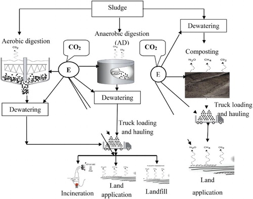 Figure 1. Sludge management with the most common treatment process ‘E’ is the energy required for the process (generated from fossil fuels).