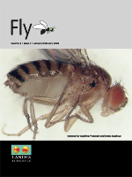 Cover image for Fly, Volume 3, Issue 1, 2009