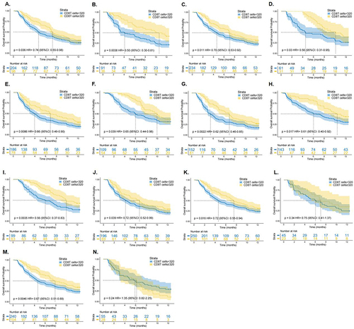 Figure 6 The 12-month overall survival analysis of advanced HCC patients with different CD8+ T cell counts. KM curves with CD8+T cell counts ≥ 320 cells/μL and < 320 cells/μL in training cohort (A); validation cohort (B); age ≥ 50 years (C); age < 50 years (D); tumor multiple (E); tumor solitary (F); tumor size ≥ 5cm (G); tumor size < 5cm (H); Child-Pugh A (I); Child-Pugh B (J); with HBV (K); without HBV (L); male (M); female (N).