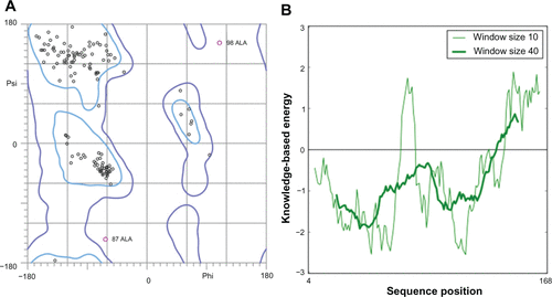 Figure S5 Validation of P. aeruginosa DHFR homology model (A) Ramachandran plot and (B) ProSA (protein structure analysis) energy plot.