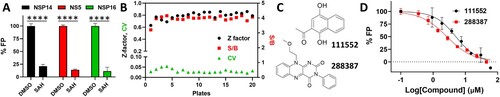 Figure 2. FP-based FL-NAH displacement HTS. (A) SAH (25, 31.25, or 50 µM) inhibited FL-NAH (50 nM or 30 nM) binding to the SARS-CoV-2 NSP14 (0.5 µM), ZIKV NS5 (2.5 µM), or SARS-CoV-2 NSP16 (0.5 µM) MTases in 96-well plate. ****, p < 0.0001. (B) FL-NAH FP HTS assay statistics against the NCI Diversity Set VI compound library. Scales for Z-factor and CV were on the left axis; scale for S/B was on the right axis. (C) Structures of NSC 111552 and 288387. (D) Dose-dependent inhibition of FL-NAH binding to the NSP14 MTase by NSC 111552 and 288387. N = 3. Assay was performed similarly as described in Figure 1(D). FP values in the presence of compounds were normalized to that of the DMSO control (100%).