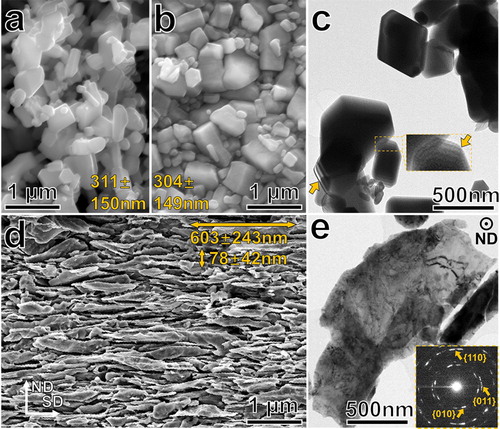 Figure 1. The change of ZnO particles morphology and microstructure caused by HPT processing. SEM images of as-synthesized (a) and compacted (b) ZnO particles with average particle sizes of 311 ± 150 nm and 304 ± 149 nm, respectively; (c) a BF-TEM image of as-synthesized ZnO particles; insert and arrows highlight the thickness fringes at the edge of the particles; (d) a SEM image of HPT-processed ZnO particles having average dimensions of 603 ± 243 nm and 78 ± 42 nm along the shearing direction (SD) and normal direction (ND), respectively; (e) a BF-TEM image of an HPT-processed ZnO particle; insert shows a SADP taken from the particle.