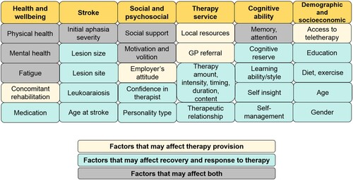 Figure 1. Factors that may affect the provision of speech therapy, and recovery and response to therapy.