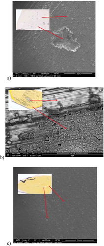Figure 9. Macro- and microstructure of: a) Mg/PEO, b) Mg/Primer, c) Mg/PEO/Primer in 0.5 M NaCl; SEM