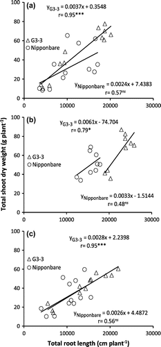 Figure 5. Relationship between total root length and total shoot dry weight of Nipponbare and NIL, G3-3 under continuous cycles of alternate waterlogging and drought (CAW-D) in 2012 (a), 2013 (b), and 2014 (c).