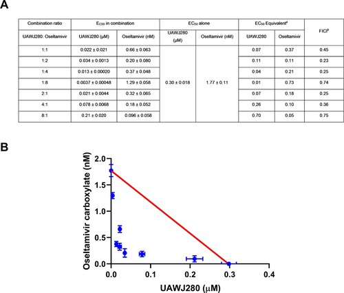 Figure 2. Combination therapy experiment of UAWJ280 with oseltamivir carboxylate. (A) Table of combination therapy with EC50 and FICI values. aEC50 equivalent was the ratio of EC50 of the compound in each combination to its EC50 alone. bFICI was the sum of UAWJ280 and oseltamivir EC50 equivalent in each combination. (B) Plot of combination indices (CIs) versus the EC50 values of the compounds at different combination ratios. Data are mean ± SD of two independent experiments.