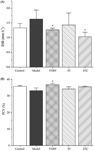 Figure 2. Effects of ST and STC on (A) erythrocyte sedimentation rate blood an d (B) packed cell volume . Data are shown as mean ± SD from six independent experiments (n = 6). #p < 0.05, ##p < 0.01 vs. control group. *p < 0.05, **p < 0.01 vs. model group.