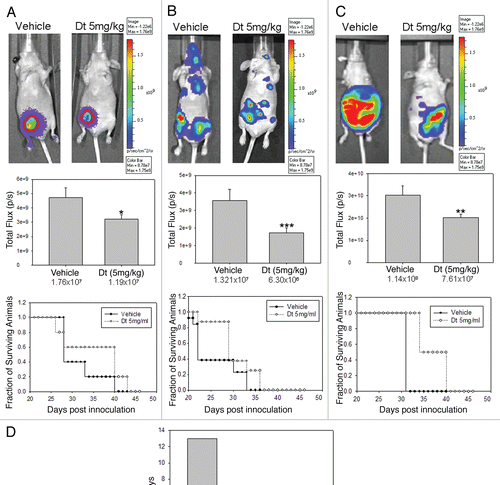 Figure 4 Dt treatment of mice (i.v. Q7D × 4 with 5 mg/kg) with established tumors developed following orthotopic (A), intracardiac (B) or intraperitoneal (C) injection of LCC6WT-luc breast cancer cells. The IVIS200 system was used to obtain BLI (representative images provided on top row) and subsequent FLUX analysis was used to assess tumor progression for each model (middle row). Image analysis for total FLUX quantification was determined on 21 days after tumor cell inoculation (following the third treatment with Dt). Results were obtained using at least five mice per treatment group and error bars (on Total Flux data) represent the SEM. An ANOVA analysis of data indicated that the treatment groups were statistically different from controls (*p > 0.05, **p > 0.01 and ***p > 0.005). Survival curves were generated based on the time when animals needed to be terminated due to overall health status or tumor ulceration and tumor size (for the orthotopic tumors only). Log rank statistical analysis of data indicated p = 0.32, p = 0.12 and p = 0.001 for the o.t., i.c. and i.p. models respectively. If animals were terminated due to health status the following day was recorded as the time of death. Median survival time (MST) for each group was estimated and the T-C value was determined by subtracting the MST of control animals, C; from the Dt treated animals, T (D).