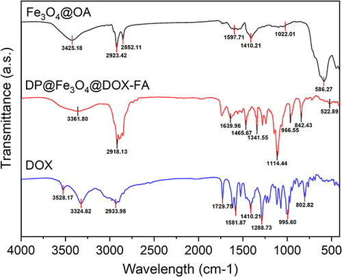 Figure 2 FTIR analysis of Fe3O4@OA, DP@Fe3O4@DOX-FA and DOX. In Fe3O4@OA, O-H and NH stretching vibrations may cause the broad band at 3425 cm−1 and the Fe-O group band at 586 cm−1. The amino group’s 3528 cm-1 vibration disappears in DOX’s IR spectrum, showing the group’s reaction. DOX’s hydroxyl group on the benzene ring vibrates at 3324 cm-1. DP@Fe3O4@DOX-FA preserves the carbonyl group at 1729 cm-1. IR of DP@Fe3O4@DOX-FA shows the stretching in the aromatic ring of FA at 1465 cm-1, the C-O group in the PEG at 1114 cm-1, vibration of amide bond at 1639 cm-1, indicating amidation reaction, and the wide band at 3361 cm-1 corresponding to the OH acid groups on the FA ring. DSPE’s aliphatic structure has C-H stretching bands at 2918 cm-1. The graph were generated by OriginPro 2019b.
