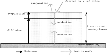 Figure 1. Heat and mass transfer mechanisms in scenario 1.