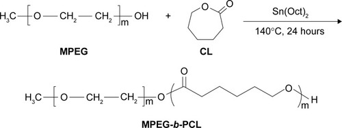 Figure 1 Synthesis scheme of block copolymer MPEG-b-PCL.Abbreviations: CL, caprolactone; MPEG, methoxy poly(ethylene glycol); MPEG-b-PCL, methoxy poly(ethylene glycol)-b-poly(ε-caprolactone); Sn(Oct)2, stannous octoate.