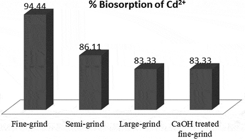 Figure 1. Biosorption of Cadmium by various grades of ground Selaginella bryopteris.