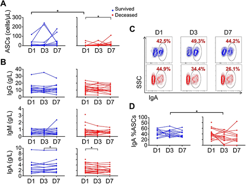 Figure 6 Kinetic analysis of IgA+ ASCs and immunoglobulin in septic shock patients. (A) The statistical analysis plots of ASCs in survived and deceased group at day 1, 3 and 7 after diagnosis of septic shock. For survived group n = 13, and for deceased group n = 32 at day 1, n = 20 at day 3 and n = 15 at day 7. (B) The statistical analysis of IgG, IgM and IgA among different time points. (C) The representative flow plots of IgA+ %ASCs in survived and deceased patients at different time points. (D) The summarized data IgA+ %ASCs in septic shock patients. *p < 0.05 by Mann–Whitney test. Red dots represent survived patients, blue dots represent deceased patients.