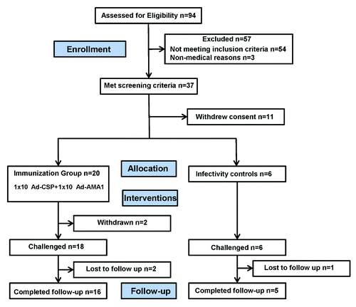 Figure 3. Flow diagram of immunized and control volunteers. Thirty-seven volunteers met all eligibility criteria of whom 11 withdrew consent, and 26 volunteers were allocated to the immunization group (n = 20) and infectivity controls (n = 6) respectively. Two immunized volunteers were not challenged due to family reasons and poor compliance, respectively. Approximately two years after challenge, an infectivity control died of causes unrelated to the vaccine.