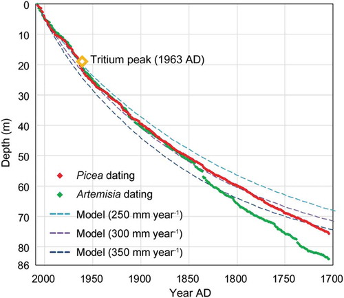 Figure 6. Depth and year (AD) relationships of the Grigoriev ice core determined by two pollen signals and by an ice thinning model with the assumption of different annual accumulations (250, 300, and 350 mm w.e. year−1).