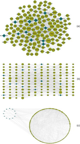 Figure 3. a: The original ceRNA network of differentially expressed miRNA, lncRNA, and mRNA. Polygons in the figure represent differentially expressed miRNA, quadrilaterals represent differentially expressed lncRNA, and circles represent differentially expressed mRNA. Gray lines represent differentially expressed RNA connected in the ceRNA network. b: The grid ceRNA network of differentially expressed miRNA, lncRNA, and mRNA. c: The group ceRNA network of differentially expressed miRNA, lncRNA, and mRNA.