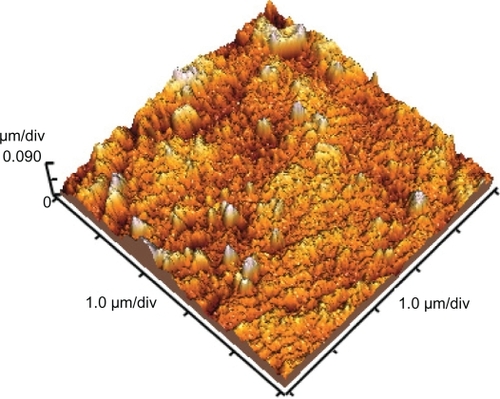 Figure 8 Atomic force microscopy of grafted polystyrene under 30 KGy (scale: 1 × 1 μm).