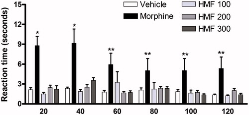 Figure 3. Effect of different doses of oral HMF on tail flick test in mice. Vehicle, indomethacin 10 mg/kg and HMF 100, 200, and 300 mg/kg were administered orally while morphine 7.5 mg/kg (10 mL/kg) was administered intraperitoneally 60 and 30 min, respectively, before one-third of the tail was immersed in a 55 °C ± 1 water bath. The reaction time was measured at 20 min intervals up to 2 h. A 15 s cut-off time was used to prevent tissue damage. The values of each column represent the mean ± SEM. Two-way ANOVA followed by the Bonferroni test, used as post hoc. Significant values: **p < 0.01 and *p < 0.05 compared with vehicle.
