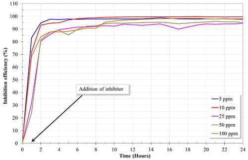 Figure 6. Inhibition efficiency (IE) as a function of time obtained from LPR measurements.