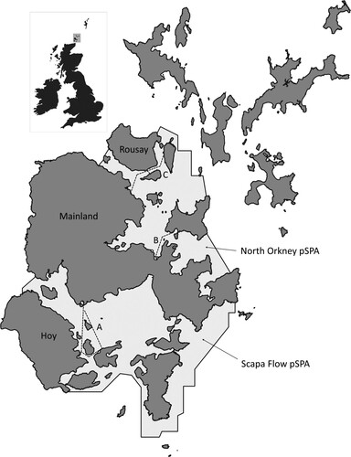 Figure 1. Routes on which recording of behavioural responses to the passing ferry was carried out. Route A: Houton – Lyness – Flotta; Route B: Kirkwall – Shapinsay; Route C: Tingwall – Rousay – Wyre – Egilsay.