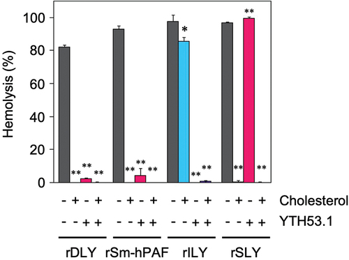 Figure 5. Mode of receptor recognition of DLY and other CDCs. Each recombinant CDC (rDLY, rSm-hPAF, rILY, and rSLY) was incubated with human erythrocytes in the presence or absence of cholesterol and/or human CD59 monoclonal antibody (YTH53.1). Triplicate samples were assayed at least twice each. Representative results are shown as hemolysis averages with standard deviations (SD). Significance of differences between hemolysis in the absence (dark-gray bar) and presence of inhibitor(s) for receptor binding of CDCs (cholesterol only, cyan bar), YTH53.1 only (magenta bar), and both (purple bar) was evaluated using F-tests followed by Welch’s t-tests or Student t-tests (**p < 0.01, *p < 0.05).