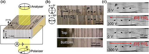 Figure 2. (a) Sketch of the experimental setup: polarised white light is transmitted through the 1 × 6 × 1 mm3 BaTiO3 single crystal (field applied across 1 mm) and an analyser is used to select the polarisation state before the CCD camera. An electric field is applied along the [−110]c, and displacement current is measured with a picoammeter. (b) The upper panel shows birefringence images for orthogonal angles of the polariser (0° and 90°). The lower panel shows images for the same angle of the polariser but with focus on top and bottom surfaces of the sample, respectively. (c) Evolution of the domain structure during ferroelectric switching at applied voltages of 0 V and 300 V on applying the field, 0 and −300 V on removing the field. In (b) and (c), arrows schematise the direction of the polarisation in the domains. Reproduced from Ref. [Citation50]. CC BY 4.0.