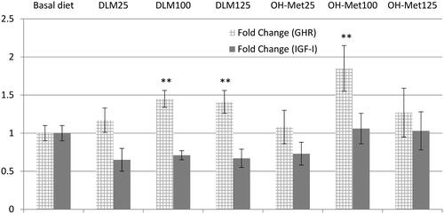 Figure 1. Relative fold expression of GHR and IGF-I mRNA in broiler liver. Changes in GHR and IGF-I gene expression in the liver are normalised to ß-actin reference genes and expressed relative to the basal diet group as the mean fold difference (2−ΔΔCT). Values are means of 7 biological replicates and 3 technical replicates. **p <.01 Means differed from the basal diet group. DLM25, DLM100, DLM125 and OH-Met25, OH-Met100, OH-Met125 mean that respective levels of addition of either DL-Met or OH-Met relative to the required amount of additional Met to meet SID Met + Cys requirements.DLM25: DL-Methionine 25%; DLM100: DL-Methionine 100%; DLM125: DL-Methionine 125%; OH-Met25: Methionine hydroxy analog 25%; OH-Met100: Methionine hydroxy analog 100%; OH-Met125: Methionine hydroxy analog 125%.