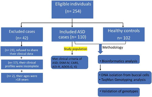Figure 1. Flow chart of the number of eligible individuals, and applied methodology in the study population.