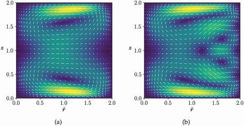 Figura 3. Vectores de flujo secundario de los casos (a) De=125 y (b) De=150 obtenidos con la malla 3. Los colores más claros están asociados a mayores valores del flujo secundario