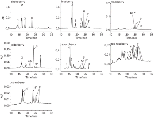 Figure 1 HPLC chromatograms of phenol fractions extracted with ethyl acetate and recorded at 320 nm. Peak identification: 1, neochlorogenic acid; 2, chlorogenic acid; 3, caffeic acid; 4, p-coumaric acid; 4′, p-coumaric acid derivative; 5, ferulic acid; 6, quercetin-3-rutinsoide; 7′, ellagic acid derivative; 8, quercetin; 8′, quercetin derivative; 9′, kaempferol derivative.