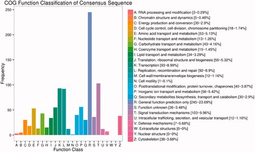 Figure 4. Functional classification of Cluster of Orthologous Groups of proteins (COG) database on DEGs. The x-axis shows the contents of COG, and the ordinate is the frequency of genes. Different functional classes reflect the corresponding period of genes and metabolism or physiological of environment.