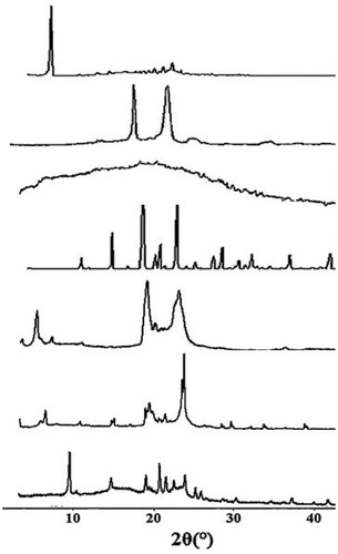 Figure 4. XRD spectra of Amoitone B (a), F68 (b), soybean lecithin (c), mannitol (d), GMS (e), the physical mixture (f), and the AmB-NLC freeze-dried powder (g).