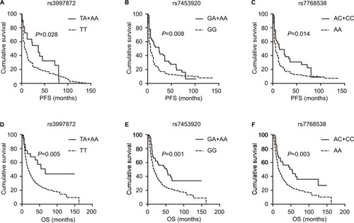 Figure 1 Kaplan–Meier analysis of OS and PFS for patients with HBV-related HCC, grouped by genotypes of the three SNPs.Notes: (A) rs3997872 (TA+AA vs. TT): median PFS, 26 vs. 6 months; P=0.028. (B) rs7453920 (GA+AA vs. GG): median PFS, 24 vs. 6 months; P=0.008. (C) rs7768538 (AC+CC vs. AA): median PFS, 14 vs. 6 months; P=0.014. (D) rs3997872 (TA+AA vs. TT): median OS, 65 vs. 18 months; P=0.005. (E) rs7453920 (GA+AA vs. GG): median OS, 51 vs. 17 months; P=0.001. (F) rs7768538 (AC+CC vs. AA): median OS, 54 vs. 17 months; P=0.003.Abbreviations: HBV, hepatitis B virus; HCC, hepatocellular carcinoma; OS, overall survival; PFS, progression-free survival; SNP, single nucleotide polymorphism.