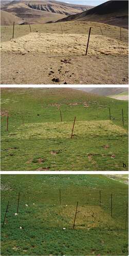 Figure 4. Example of phenological progression of vegetation from May (a), June (b), and July (c) 2011, showing decreasing contrast of vegetation between an ungrazed and a grazed observation plot (experiment 3), Village Five, Gouli Township, Dulan County, Qinghai Province, China