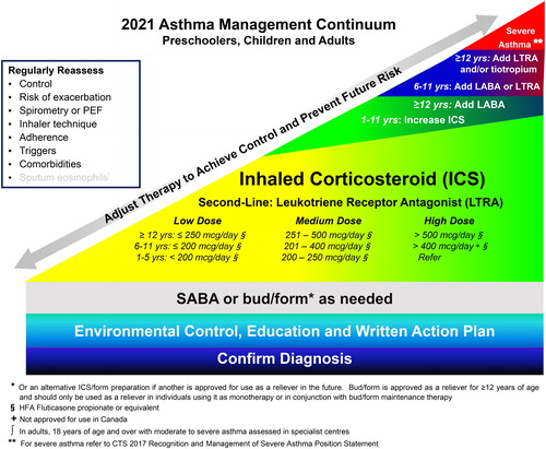Figure 1. 2021 Asthma management continuum preschoolers, children and adults.Management relies on an accurate diagnosis of asthma and regular reassessment of control and risk of exacerbation. All individuals with asthma should be provided with self-management education, including a written action plan. Adherence to treatment, inhaler technique, exposure to environmental triggers, and the presence of comorbidities should be reassessed at each visit and optimized.Individuals with well controlled asthma on no medication or PRN SABA at lower risk of exacerbation can use PRN SABA, daily ICS + PRN SABA, and if ≥ 12 years of age PRN bud/form*.Individuals at higher risk of exacerbation even if well-controlled on PRN SABA or no medication, and those with poorly-controlled asthma on PRN SABA or no medication should be started on daily ICS + PRN SABA. In individuals ≥ 12 years old with poor adherence despite substantial asthma education and support, PRN bud/form* can be considered. LTRA are second-line monotherapy for asthma. If asthma is not adequately controlled by daily low doses of ICS with good technique and adherence, additional therapy should be considered. In children 1-11 years old, ICS should be increased to medium dose and if still not controlled in children 6-11 years old, the addition of a LABA or LTRA should be considered. In individuals 12 years of age and over, a LABA in the same inhaler as an ICS is first line adjunct therapy. If still not controlled, the addition of a LTRA or tiotropium should be considered.In children who are not well-controlled on medium dose ICS, a referral to an asthma specialist is recommended. After achieving asthma control, including no severe exacerbations, for at least 3-6 months, medication should be reduced to the minimum necessary dose to maintain asthma control and prevent future exacerbations.HFA: hydrofluoroalkane; SABA: short-acting beta-agonist, LABA: long-acting beta-agonist, ICS: inhaled corticosteroid, LTRA: leukotriene receptor antagonist, bud/form: budesonide-formoterol in a single inhaler.