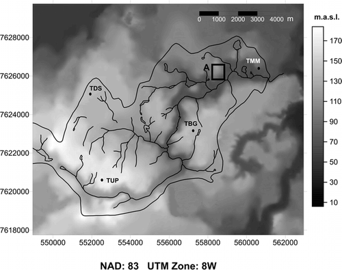 FIGURE 1.  Digital elevation model of Trail Valley Creek and surrounding areas. Also shown are the locations of the four meteorological stations operating in the basin during the spring of 1999. Trail Valley Main Met (TMM) and Trail Valley Upper Plateau (TUP) are long-term stations, while Trail Valley Deep Snow (TDS) and Trail Valley Bare Ground (TBG) are temporary stations located over deep and shallow snow sites, respectively. Box A denotes the field experiment shown in Figure 4