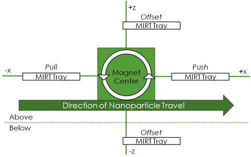 Figure 2 Schematic illustrating the standardized MIRT tray positions used in this paper. This perspective is rotated 90 degrees to the left, from that shown in Figure 1B. The figure is not drawn to scale: in actuality, the tray in the pull position would be relatively closer to the rotating magnet, if the starting positions for the MNPs were all 20 cm from the center of the magnet.