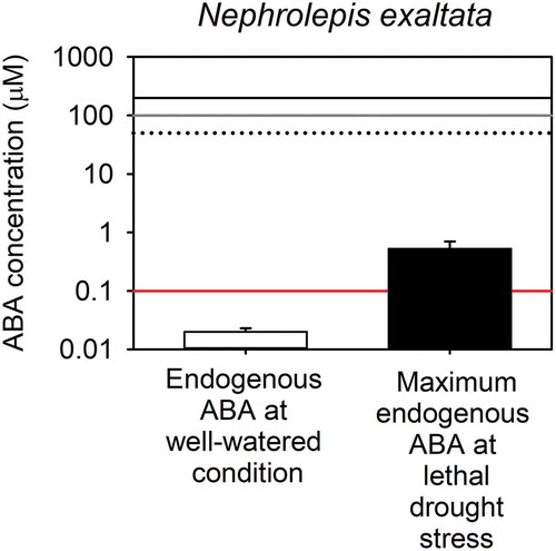 Figure 2. Comparison between the endogenous levels of ABA found in plants of Nephrolepis exaltata and the exogenous levels of ABA applied in two different studies using the same species.Endogenous levels of ABA (mean ± SD; log scale) found in plants of N. exaltata under well-watered (n = 3) and water stress conditions (n = 2) (data from Figure 1) and exogenous levels of ABA applied to individuals from the same species in the studies from Cai et al.Citation6 (black solid and black dotted lines represent maximum concentration used in the dose–response curve and concentration chosen in further experiments, respectively) and Grantz et al.Citation25(gray solid line represents maximum concentration used in experiments). The red horizontal line represents 0.1 μM, corresponding to the cytosolic concentration of ABA required to fully activate ABA receptors in angiosperms.Citation56 To estimate the endogenous levels of ABA in terms of volume (molarity) rather than weight (gram), we utilized the same foliar ABA concentrations from Figure 1, but in terms of FW, and the relationship between RWC and water potential for this species (Equation 1). It should be noted that in a water-stressed plants 15% of the ABA in the leaf remains bound in the chloroplasts, the rest is assumed to be cytosolic,Citation57 meaning that we our calculated molar concentrations of ABA from foliar measurements are an overestimate of cytosolic levels.