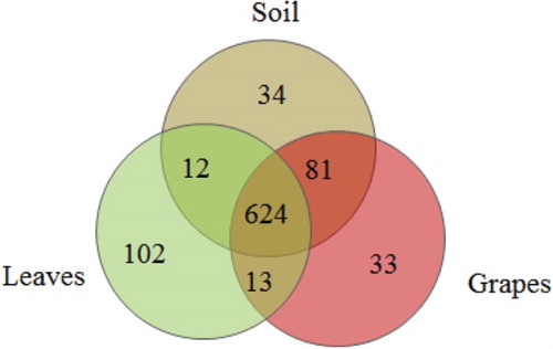 Figure 5. Venn diagram of OTUs at a cutoff of 0.03 for the fungal communities in the grapevine ecosystems of soil, leaves, and grapes. The numbers in the overlapping zones indicate how many of the OTUs were shared among samples.