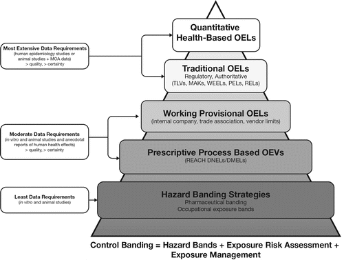 Figure 1 A hierarchy of risk-based occupational exposure benchmarks. As more toxicological and epidemiological data become available, one moves up the hierarchy. Adapted from a version of the hierarchy developed by Laszcz-Davis et al.(Citation22) © AIHA. Reproduced by permission of AIHA. Permission to reuse must be obtained from the rightsholder.