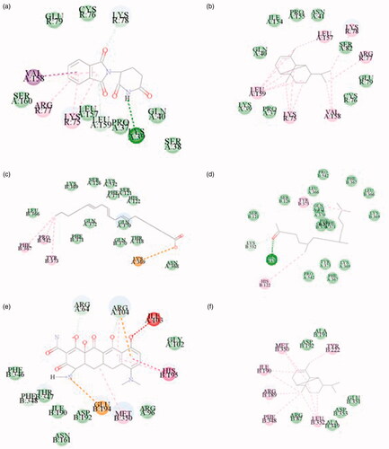 Figure 9. Molecular docking. (a) 5426 (Thalidomide) with TNF 2 D diagram. (b) 19725 (Copaene) with TNF 2 D diagram. (c) 5280581 (Dihomo-γ-linolenic acid) with PTGS2 2 D diagram. (d) 10408 (2-Pentadecanone, 6,10,14-trimethyl-) with PTGS2 2 D diagram. (e) 54675783 (Minocycline) with MAPK3 2 D diagram. (f) 19725 (Copaene) with MAPK3 2 D diagram.