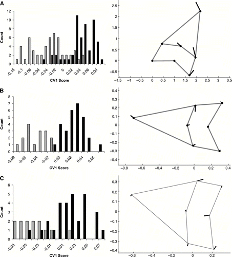 FIGURE 4 Canonical variates analysis of Procrustes landmarks for I. hastalis and I. xiphodon. Histograms on the left side of the figure are counts of CV1 scores. Black bars equal I. hastalis; Grey bars equal I. xiphodon. Vector plots on the right show the variation represented on CV1 as values become more positive. A, all tooth positions; B, anterior teeth only (positions 1 and 2); C, lateral teeth only (positions 4 through 7).