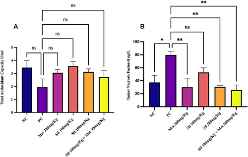 Figure 5 Effect of silibinin alone and in combination with metformin at the end of the study (Day 40) on (A) Serum total antioxidant capacity and (B) Tumor necrosis factor (TNF-α). Ordinary one-way ANOVA with Tukey’s multiple comparison was used. *p<0.05, **p<0.001 statistically significant compared to positive control (PC) group. ns: non-significant different compared with positive control.