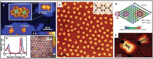 Figure 15. (a) STM image of FePc on graphene islands on Ir(111) showing FePC molecules in different-lobed states. Inset: Zoom-on four-lobe FePc dimer overlaid with the molecular structure. (b) dI/dV spectra obtained at the center of the four-lobe (blue) and three-lobe (red) species. (c) Large-scale STM image of three-lobe FePc molecules on graphene on Ir(111) with superimposed red lines showing the moiré lattice. The positions of the missing lobes of the molecules are indicated by white dots. Adapted with Permission from ref 92. Copyright © 2015 American Chemical Society (d) STM image of F4TCNQ molecules adsorbed on G/Ir(111) surface. Most of the molecules are in the two-legged configuration; one molecule in flat geometry is highlighted by a black circle. The moiré unit cell is indicated by the black parallelogram. The black dots indicate the corners (fcc sites) of the moiré pattern. (e) Illustration of the G/Ir(111) moiré unit cell depicting different registries between the carbon atoms and the underlying Ir substrate. (f) STM topography image showing the two-legged and flat adsorption geometries with respect to the G/Ir(111) moiré. The fcc and hcp regions have been depicted by filled and open circles. Adapted with permission from ref 93. Copyright © 2017 American Chemical Society.