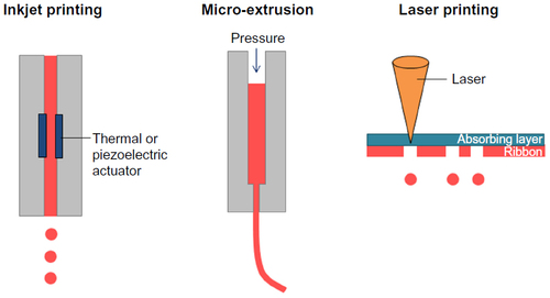 Figure 1 Schematics of the major bioprinting mechanisms.